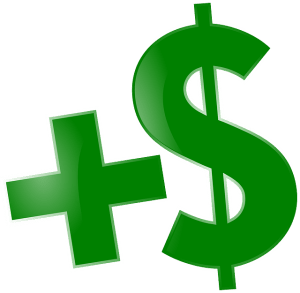Reclame la diferencia entre el dinero invertido y la cantidad sacada por la venta de acciones Bankia FUENTE pixabay.com