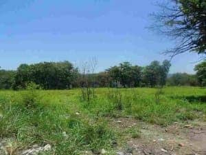 cooperativa-viviendas-psg