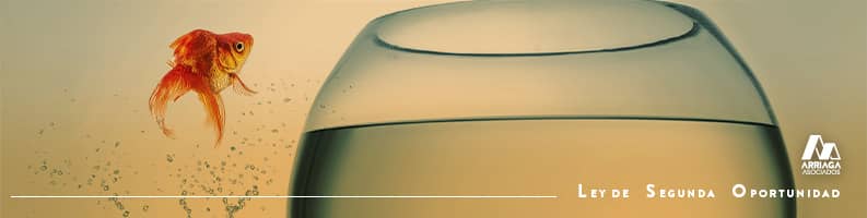 ley segunda oportunidad pros y contras
